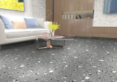 Gạch Ốp Lát APODIO 66TZ7401